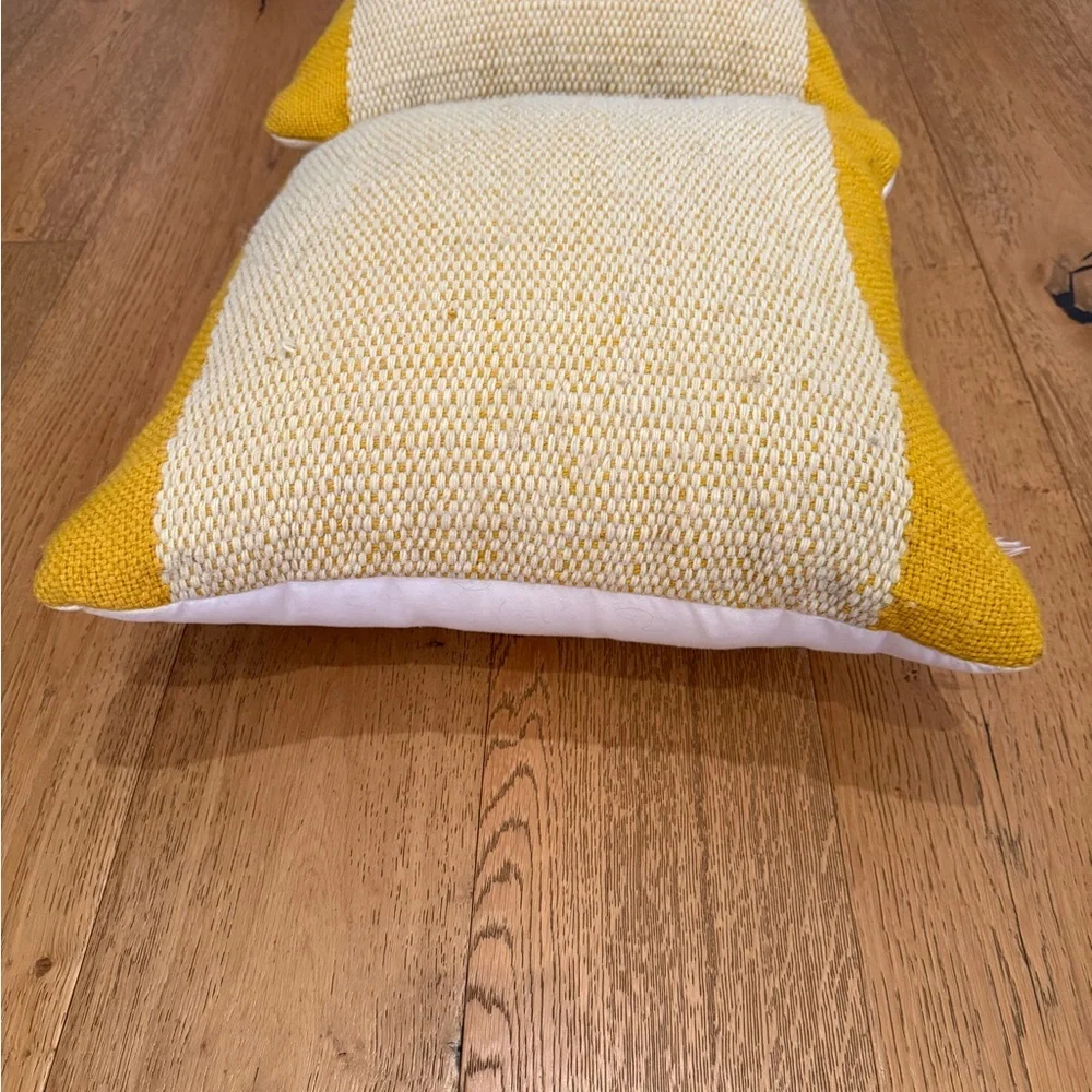 West Elm Banded Basketweave Indoor/ Outdoor Pillow set of 2
